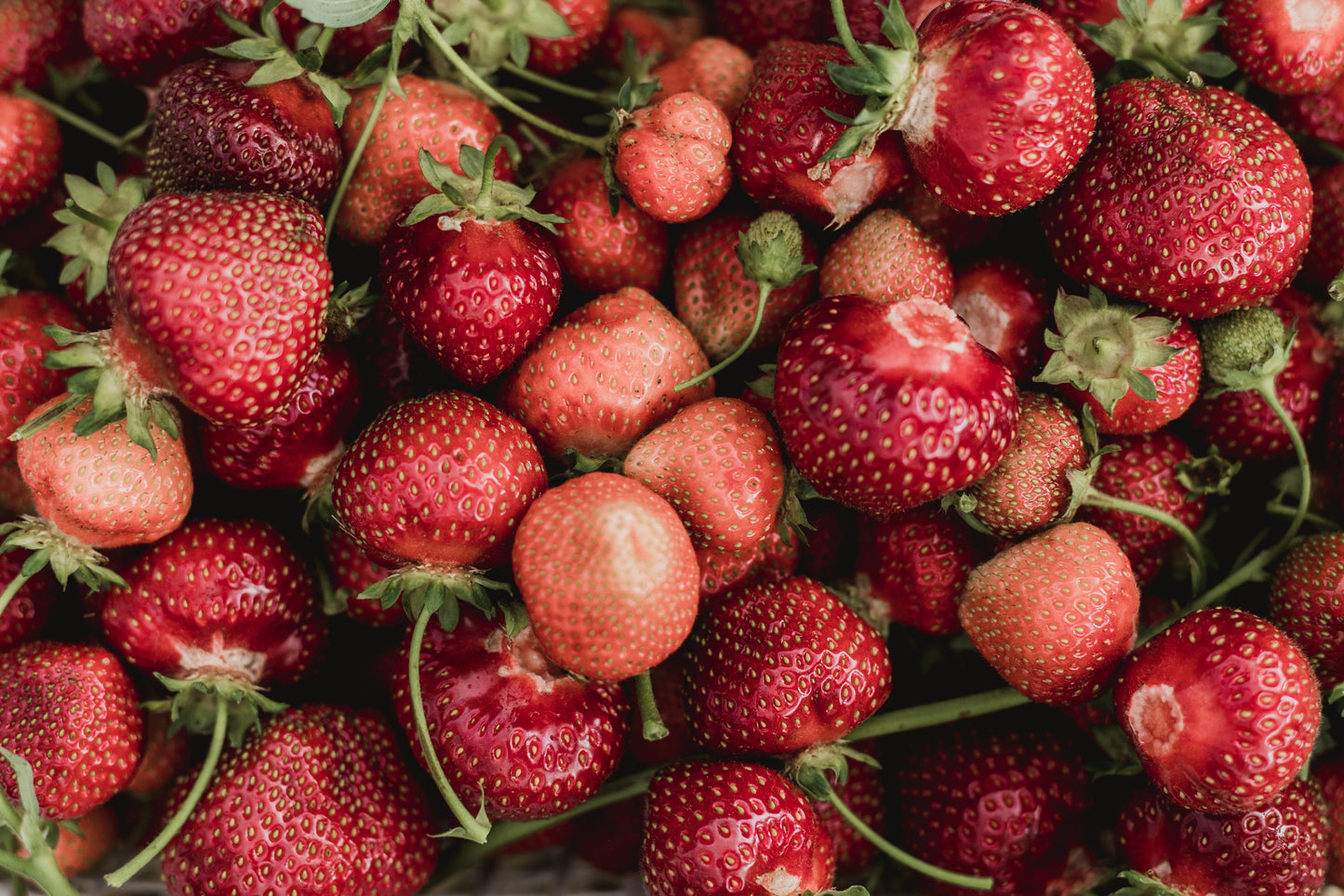 Strawberry Jam